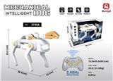 OBL10461027 - Remote control robot