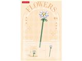 OBL10462644 - 小雏菊 58PCS