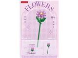 OBL10462658 - 波斯菊 59PCS