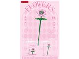 OBL10462660 - 小冠花 66PCS