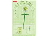 OBL10462661 - 白三草 80PCS