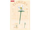 OBL10462665 - 百合 61PCS