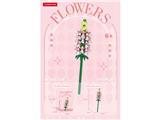 OBL10462685 - 金鱼草 123PCS