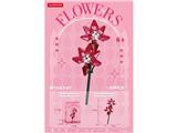 OBL10462689 - 胡姬花 79PCS