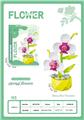 OBL10477548 - 积木花蝴蝶兰