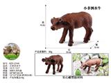 OBL10487919 - 小非洲水牛