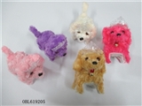 OBL619205 - Light fluffy electric new crown poodle