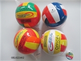 OBL622462 - 9 inches volleyball