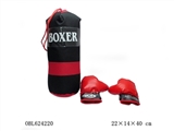 OBL624220 - The boy boxing gloves