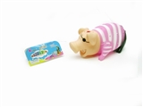 OBL643530 - Bellow pirate pig