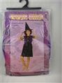 OBL662956 - The little witch