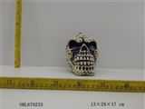 OBL670233 - The large skull