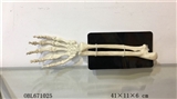 OBL671025 - Ground skeleton hands