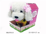 OBL679113 - 9 "matchmaking brown teddy dog