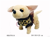OBL679114 - Matchmaking 12 "chihuahua