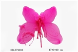 OBL679693 - Butterfly wings