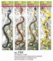 OBL703560 - 2款4色24寸蛇/PVC
