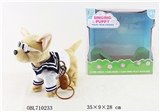 OBL710233 - Matchmaking 12-inch chihuahua