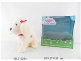 OBL710234 - 9 "white teddy dog