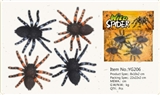OBL715546 - 4 only small spider