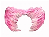 OBL721213 - Pink real feather wings