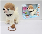 OBL722351 - 9 "mean dog
