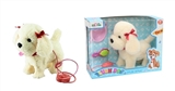 OBL722365 - Matchmaking 9 "teddy dog