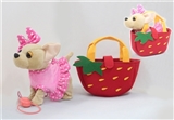 OBL722378 - Matchmaking 9 "chihuahua