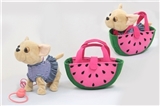 OBL722381 - Matchmaking 9 "chihuahua