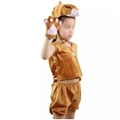 OBL730190 - The little lion costumes for children