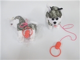 OBL732290 - Electric music walk leash huskies