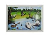 OBL743087 - 300 PCS of the puzzle