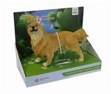 OBL743580 - 非洲大象