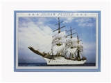 OBL745289 - 1000 PCS of the puzzle