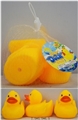 OBL748355 - Evade glue little duck wings