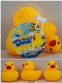 OBL748357 - Evade glue little baby ducks