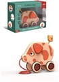 OBL751911 - Ha of pig