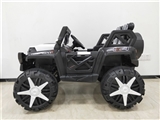 OBL752621 - (new) buggy