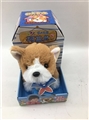 OBL754163 - Jill of dog family