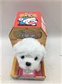 OBL754165 - Jill of dog family