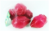 OBL768088 - Pitaya 5 PCS