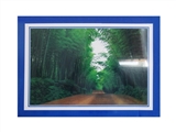 OBL770679 - 1000 PCS of the puzzle