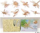 OBL805088 - Wooden 3 d assembling of insects