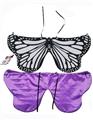 OBL805800 - Diy painted butterfly wings