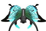 OBL807310 - Butterfly flying 480 p (WiFi)