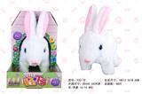 OBL808068 - N of embryonic rabbit