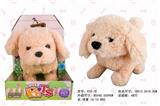 OBL808069 - Electric dog