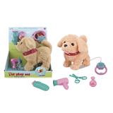 OBL812610 - Golden retriever music electric beauty series (arrows)