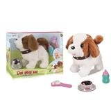 OBL812611 - The saint Bernard magnetron suits