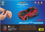 OBL813361 - 智能3模式声控车（包电）
